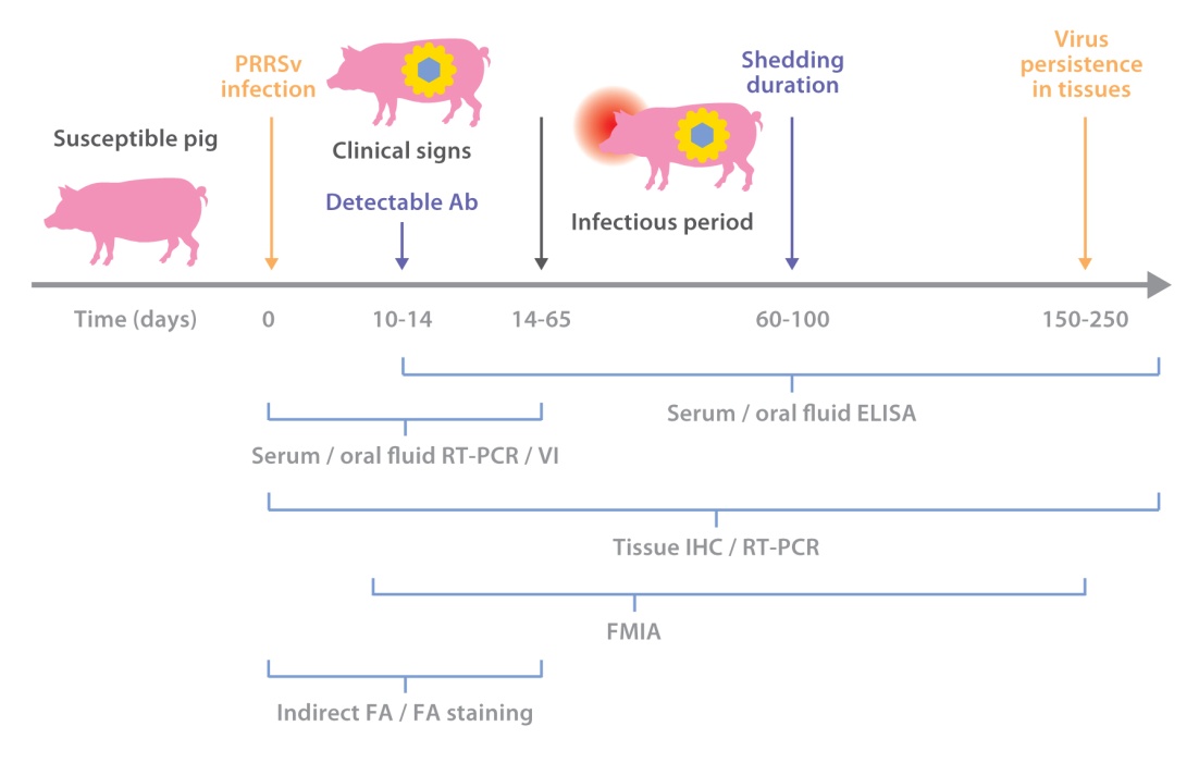 Figure 1 Image