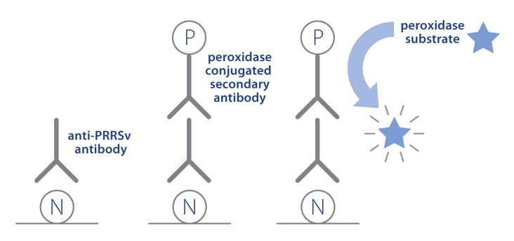 Figure 1 Image