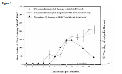 Figure 3 Image