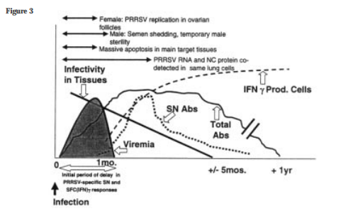 Figure 4 Image