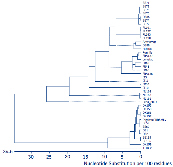 Figure 1 Image