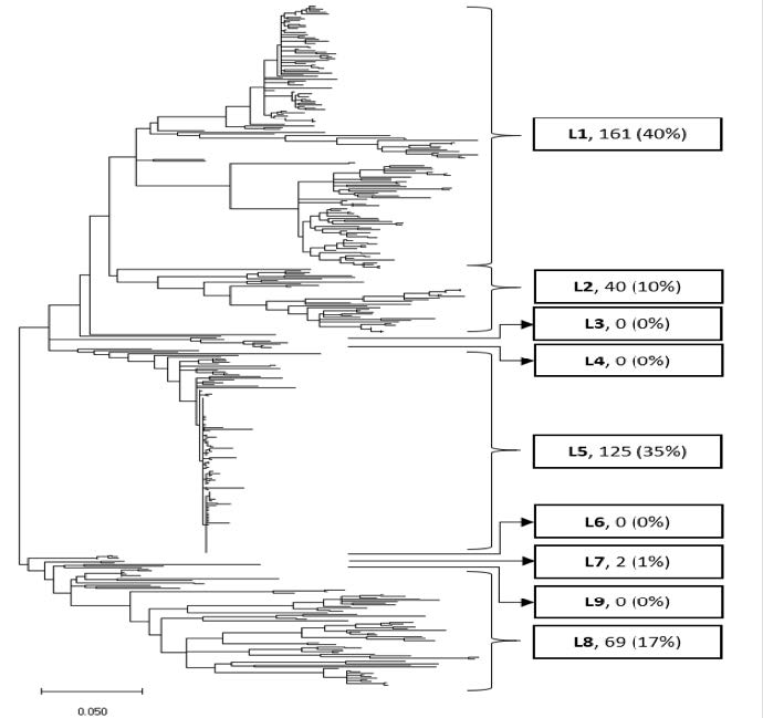 Figure 1 Image