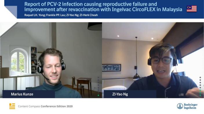 Report of PCV 2 infection causing reproductive failure and improvement after revaccination