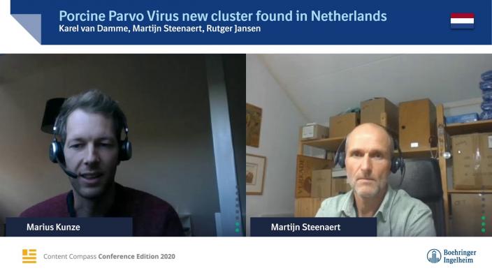 Porcine Parvo Virus new cluster found in Netherlands