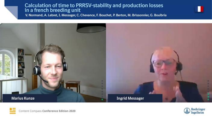 Calculation of time to PRRSV stability and production losses in a french breeding unit