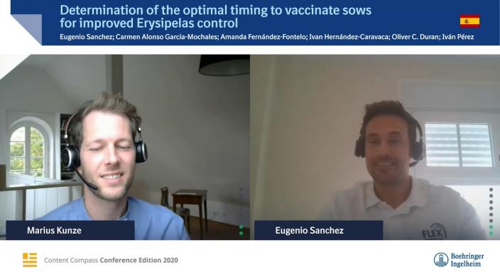 Determination of the optimal timing to vaccinate sows for improved Erysipelas control