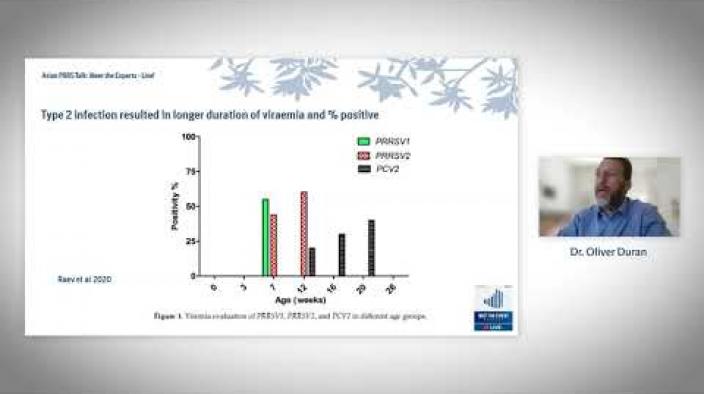 Type 1 and type 2 PRRSV and Cross Protection: What does the science say? Image