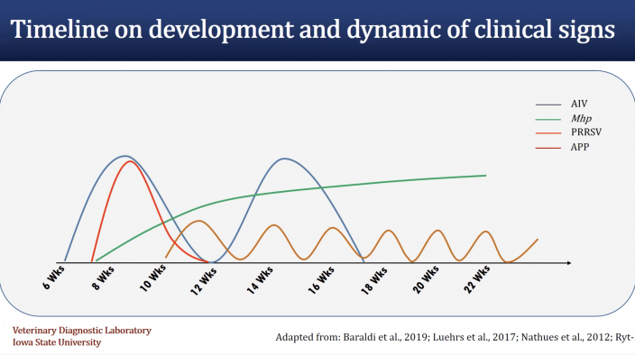 Dynamics of clinical signs