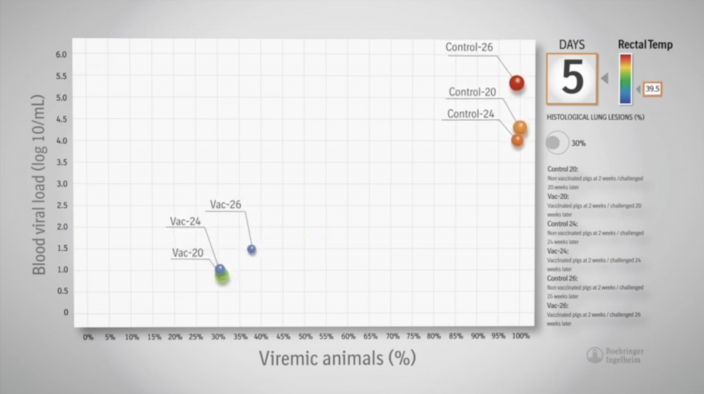 Why is it counteractive in keeping unvaccinated, susceptible animals in the herd?