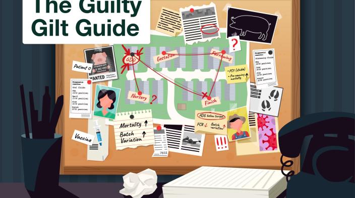 Guilty Gilt Guide
